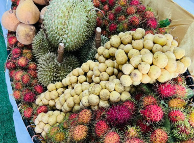 สหกรณ์จังหวัดปราจีนบุรีร่วมงานแถลงข่าวงานวันเกษตรปราจีนบุรี ... พารามิเตอร์รูปภาพ 4