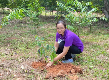 บุคลากรนิคมสหกรณ์กบินทร์บุรี ร่วมปลูกต้นไม้ประจำปีของชาติ ... พารามิเตอร์รูปภาพ 3