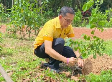 บุคลากรนิคมสหกรณ์กบินทร์บุรี ร่วมปลูกต้นไม้ประจำปีของชาติ ... พารามิเตอร์รูปภาพ 1