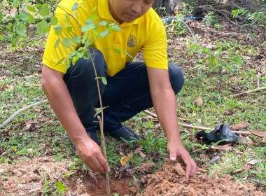 บุคลากรนิคมสหกรณ์กบินทร์บุรี ร่วมปลูกต้นไม้ประจำปีของชาติ ... พารามิเตอร์รูปภาพ 2