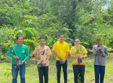 บุคลากรนิคมสหกรณ์กบินทร์บุรี ร่วมปลูกต้นไม้ประจำปีของชาติ ... พารามิเตอร์รูปภาพ 4