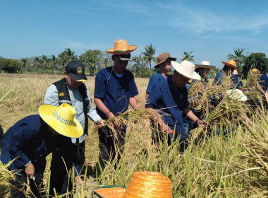 ร่วมงานวันถ่ายทอดเทคโนโลยีการผลิตข้าว ตามโมเดลเศรษฐกิจ BCG ... พารามิเตอร์รูปภาพ 2