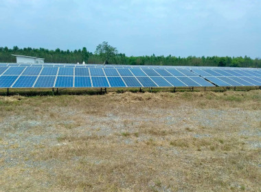 นายเชาวลิต เจริญฤทธิ์ สหกรณ์จังหวัดปราจีนบุรี ... พารามิเตอร์รูปภาพ 5