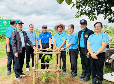 กิจกรรมปลูกต้นไม้เพื่อเฉลิมพระเกียรติสมเด็จพระนางเจ้าสิริกิติ์ พระบรมราชินีนาถ พระบรมราชชนนีพันปีหลวง ... พารามิเตอร์รูปภาพ 6