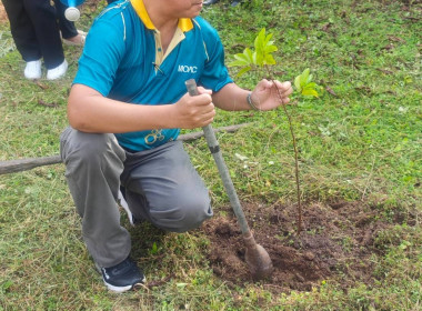 ร่วมจัดกิจกรรมวันรักต้นไม้ประจำปีของชาติ พ.ศ. 2568 พารามิเตอร์รูปภาพ 7