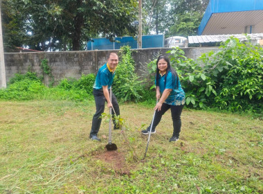 ร่วมจัดกิจกรรมวันรักต้นไม้ประจำปีของชาติ พ.ศ. 2568 พารามิเตอร์รูปภาพ 10