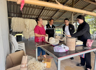 ข้าตรวจเยี่ยม แนะนำ ส่งเสริม ... พารามิเตอร์รูปภาพ 3