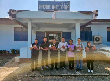 กระจายผลผลิตหอมแดงมัดจุกศรีสะเกษของสมาชิกสหกรณ์และกลุ่มเกษตรกรในจังหวัดศรีสะเกษ ... พารามิเตอร์รูปภาพ 8