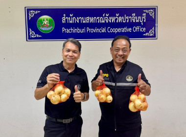 ร่วมกระจายผลผลิตหอมหัวใหญ่จากแปลงเกษตรกรสมาชิกสหกรณ์ในจังหวัดเชียงใหม่ ... พารามิเตอร์รูปภาพ 1