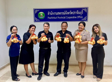 ร่วมกระจายผลผลิตหอมหัวใหญ่จากแปลงเกษตรกรสมาชิกสหกรณ์ในจังหวัดเชียงใหม่ ... พารามิเตอร์รูปภาพ 3