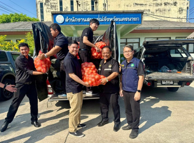 ร่วมกระจายผลผลิตหอมหัวใหญ่จากแปลงเกษตรกรสมาชิกสหกรณ์ในจังหวัดเชียงใหม่ ... พารามิเตอร์รูปภาพ 4