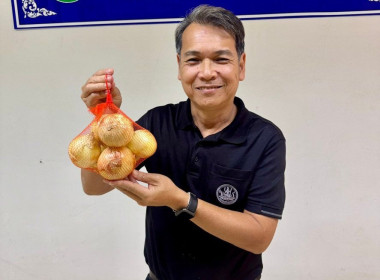 ร่วมกระจายผลผลิตหอมหัวใหญ่จากแปลงเกษตรกรสมาชิกสหกรณ์ในจังหวัดเชียงใหม่ ... พารามิเตอร์รูปภาพ 5