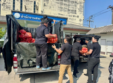 ร่วมกระจายผลผลิตหอมหัวใหญ่จากแปลงเกษตรกรสมาชิกสหกรณ์ในจังหวัดเชียงใหม่ ... พารามิเตอร์รูปภาพ 7