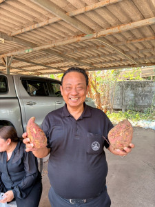 ร่วมกระจายผลผลิตมันเทศจากเกษตรกรในจังหวัดตราด พารามิเตอร์รูปภาพ 1