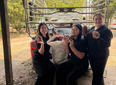 ร่วมกระจายผลผลิตมันเทศจากเกษตรกรในจังหวัดตราด พารามิเตอร์รูปภาพ 6
