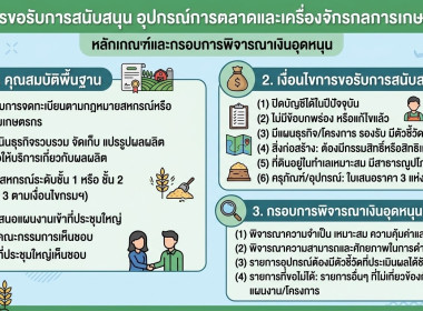 Infographic ของหน่วยงาน พารามิเตอร์รูปภาพ 5